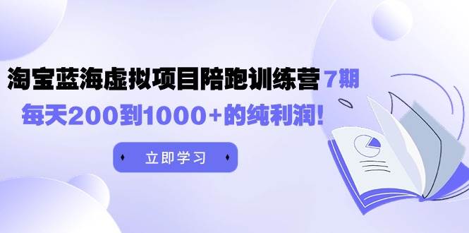 黄岛主《淘宝蓝海虚拟项目陪跑训练营7期》每天200到1000+的纯利润-副业金库