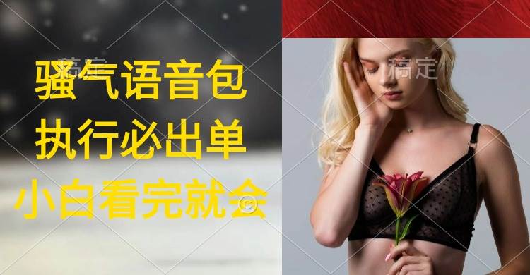 执行就出单，日入2000+，超火骚气语音包，小白看完课程就能马上实操-副业金库