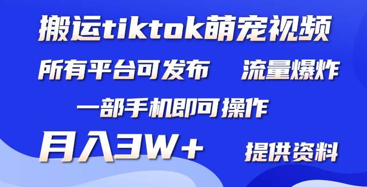 搬运Tiktok萌宠类视频，一部手机即可。所有短视频平台均可操作，月入3W+-副业金库