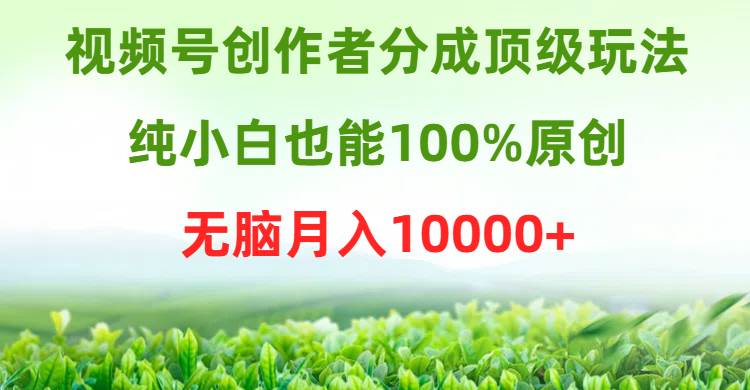视频号创作者分成顶级玩法,纯小白也能100%原创,无脑月入10000+-副业金库