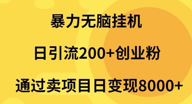 暴力无脑挂机日引流200+创业粉通过卖项目日变现2000+-副业金库