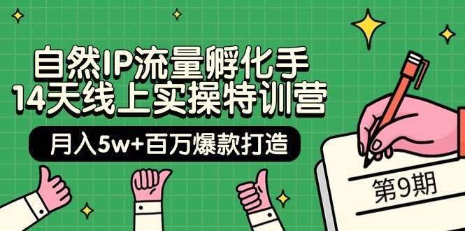 自然IP流量孵化手 14天线上实操特训营【第9期】月入5w+百万爆款打造 (74节)-副业金库