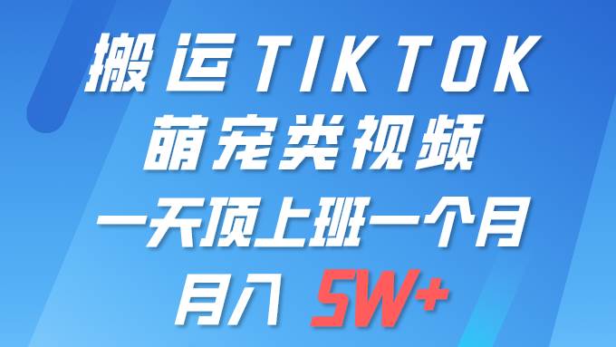 一键搬运TIKTOK萌宠类视频 一部手机即可操作 所有平台均可发布 轻松月入5W+-副业金库