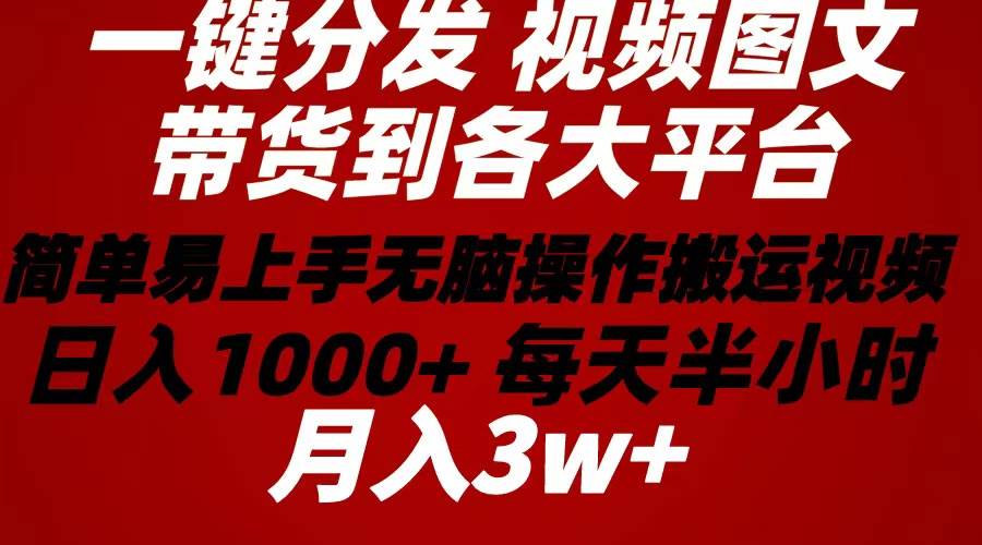 2024年 一键分发带货图文视频  简单易上手 无脑赚收益 每天半小时日入1...-副业金库