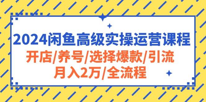 2024闲鱼高级实操运营课程：开店/养号/选择爆款/引流/月入2万/全流程-副业金库