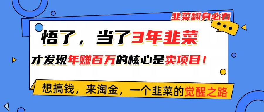悟了，当了3年韭菜，才发现网赚圈年赚100万的核心是卖项目，含泪分享！-副业金库