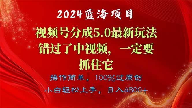 2024蓝海项目，视频号分成计划5.0最新玩法，错过了中视频，一定要抓住...-副业金库