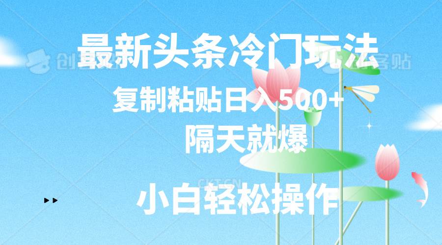 最新头条冷门玩法，隔天就爆，复制粘贴日入500+-副业金库