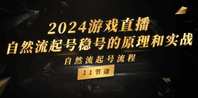 2024游戏直播-自然流起号稳号的原理和实战，自然流起号流程（11节）-副业金库